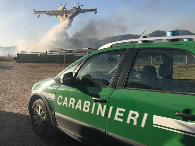 Massima allerta per gli incendi boschivi. Carabinieri Forestale in campo per prevenire disastri