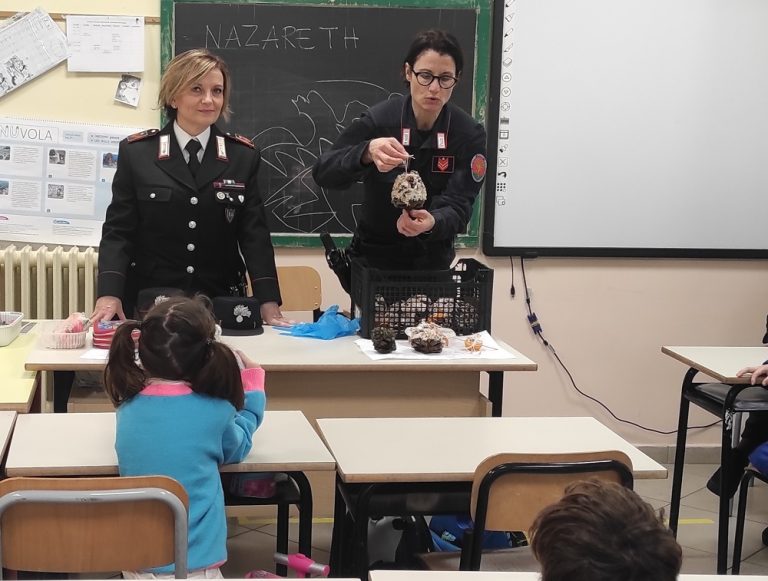 L’Albero Solidale, i Carabinieri Forestali a scuola per la tutela dell’Avifauna urbana