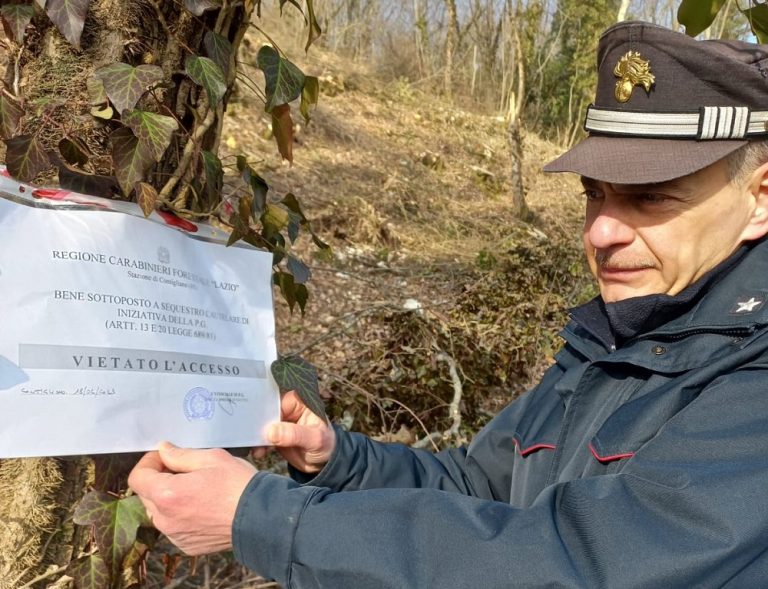A Reopasto di Contigliano sequestrati bosco e 400 quintali di legna illegalmente tagliata