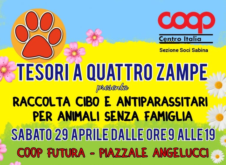Tesori a quattro zampe il 29 aprile organizza raccolta cibo e antiparassitari per animali senza casa