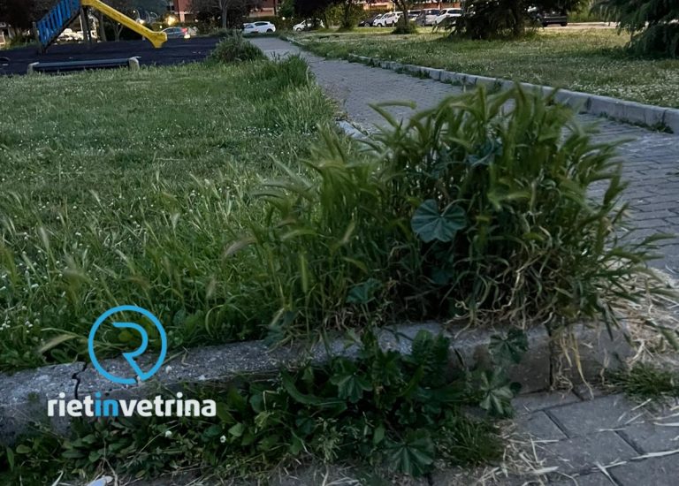 SEI TU IL REPORTER – “Nel parco di Campoloniano erba sfalciata in modo sommario”
