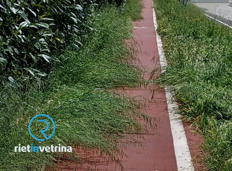 SEI TU IL REPORTER  – “In viale Fassini la Ciclabile è impraticabile”