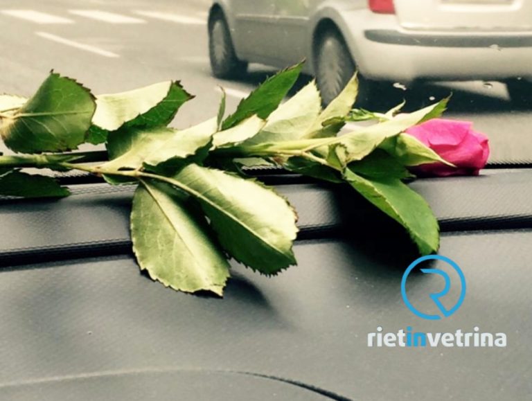 Santa Rita, il 22 maggio torna la benedizione delle auto
