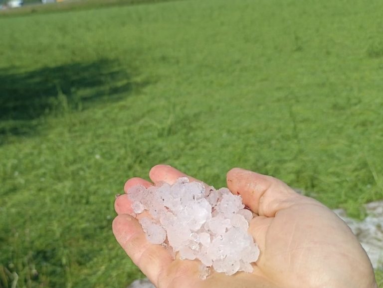 Grandinata a Magliano Sabina, chiesto lo stato di calamità per i danni all’agricoltura