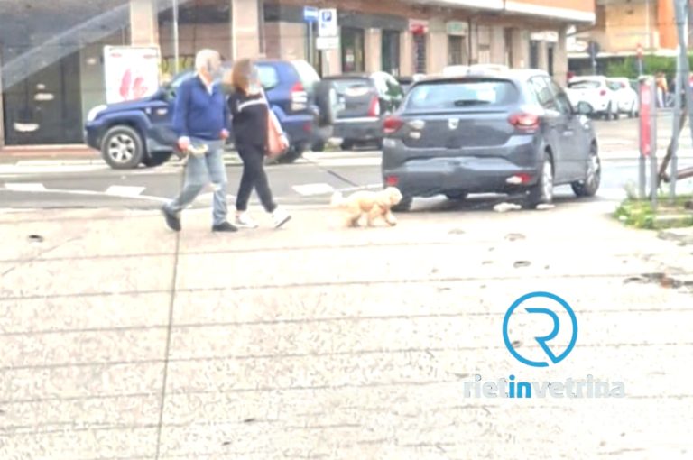 Percorre contromano via degli Olivi. Attimi di paura