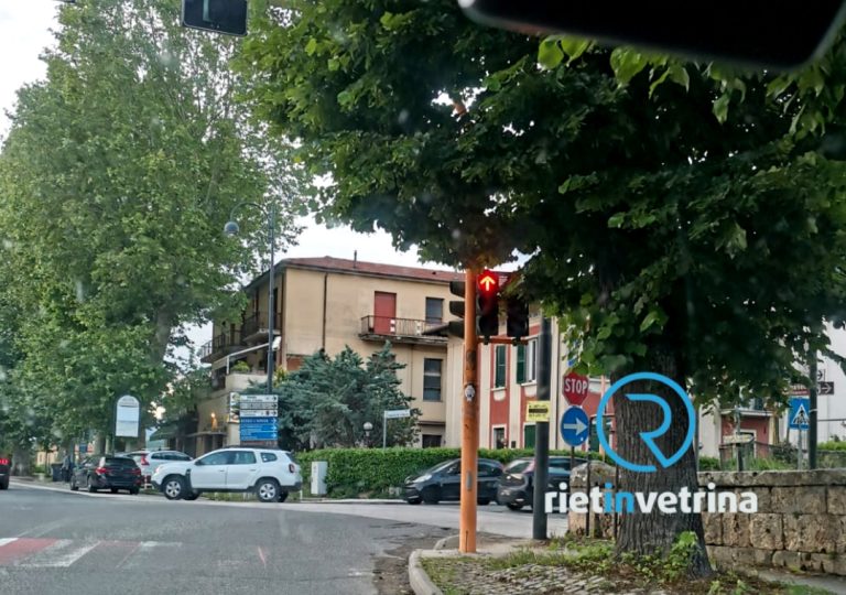 SEI TU IL REPORTER – “A Porta d’Arce le folte chiome degli alberi non fanno vedere più il semaforo”