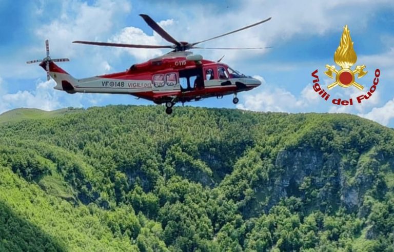 Leonessa, VVF recuperano tre bovini morti folgorati