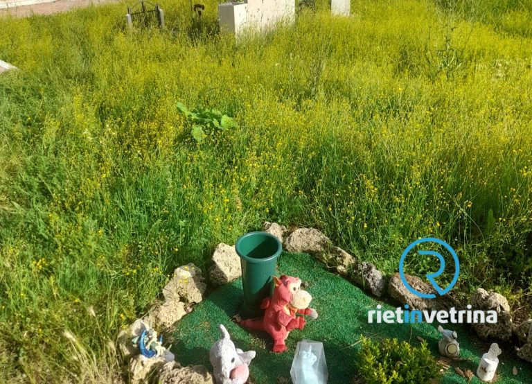 SEI TU IL REPORTER – “Nel cimitero di Santa Rufina dobbiamo togliere l’erba con le mani per poter dare un saluto ai nostri cari”