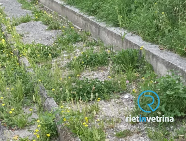 SEI TU IL REPORTER – “A Cittaducale, in via Sturzo, il marciapiede non esiste più ma paghiamo il passo carrabile”