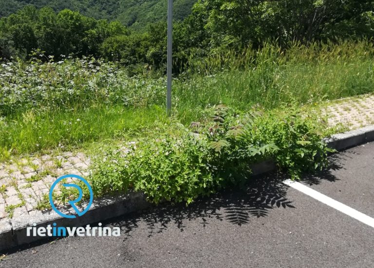 SEI TU IL REPORTER – “A Cittaducale in via delle Magnolie nessuno viene a tagliare l’erba”