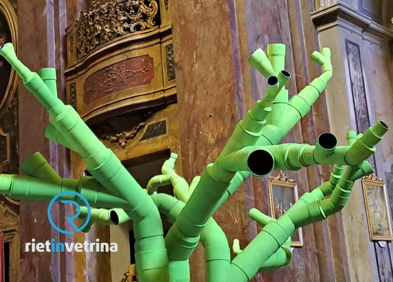 Nella serata del 28 giugno nella Chiesa di San Rufo suoneranno gli alberi