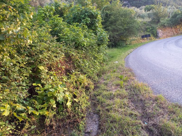 SEI TU IL REPORTER – “Ripristinate il ponte-tombino zona Toffia. Evitiamo lo straripamento del Rio”