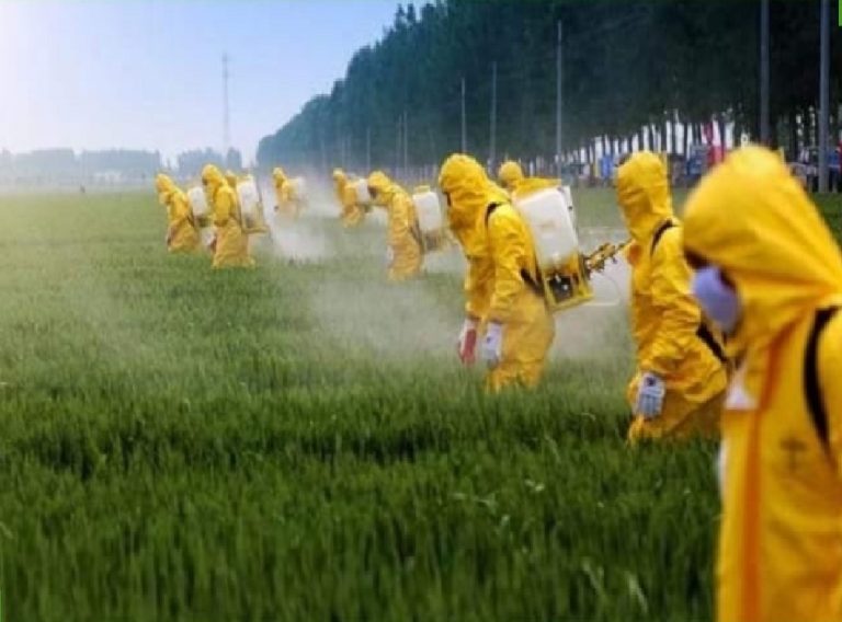 Il 10 giugno a Rieti il seminario  “Pericolo dei pesticidi negli alimenti e biocidi in città”