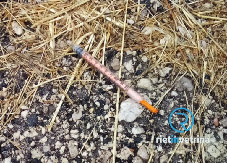 SEI TU IL REPORTER – “Trovata siringa usata in via Di Fazio a Rieti”