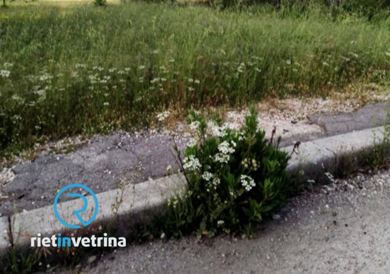 SEI TU IL REPORTER – “Dopo mesi la zona artigianale è ancora con i marciapiedi impraticabili”