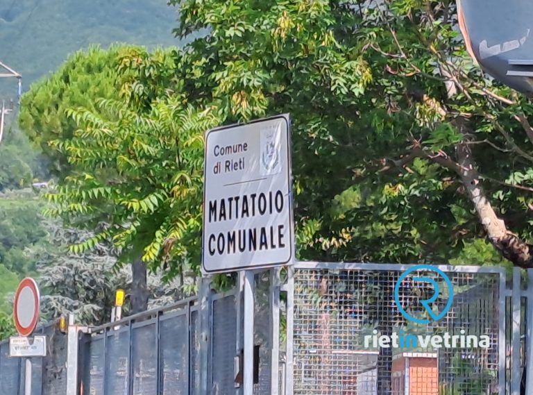 Emili: “Il Parco della Musica all’ex Mattatoio è figlio delle Giunte Petrangeli e Cicchetti”