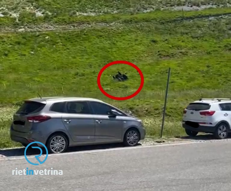 ►VIDEO – Quoad esce di strada e precipita dalla scarpata zona Vallonina