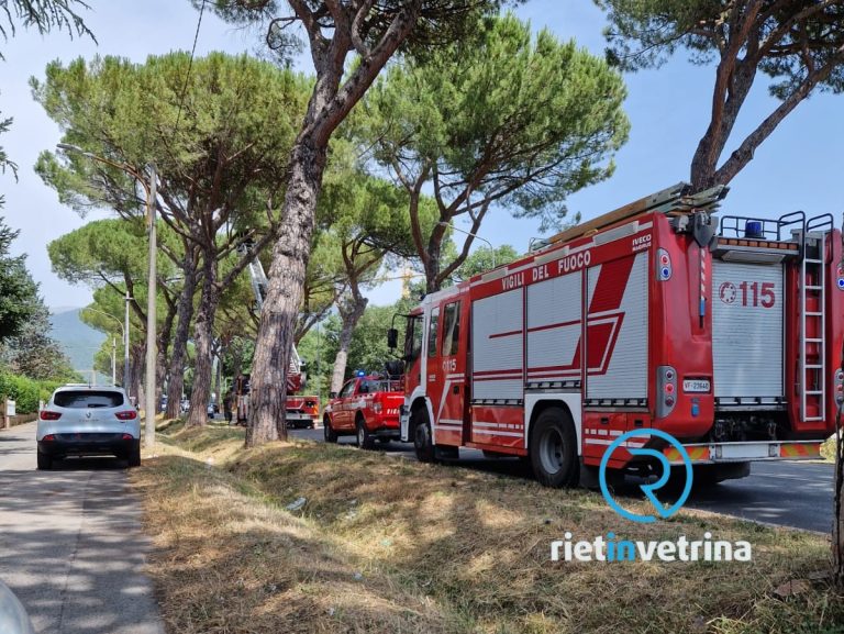 Albero pericolante sulla Terminillese. Intervengono i Pompieri