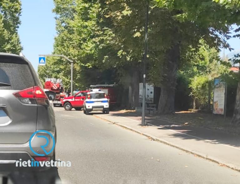 Albero pericolante in viale Maraini. Sul posto Vigili del Fuoco e Polizia Locale
