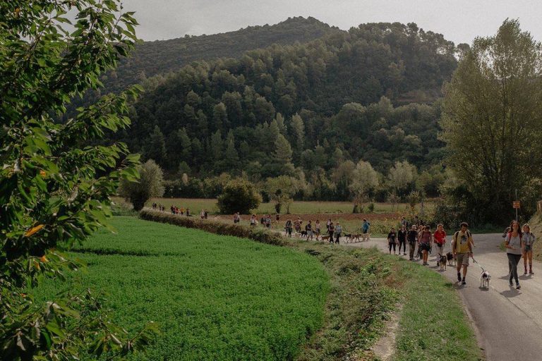 A Rieti il 1° ottobre il “Cammino degli animali”