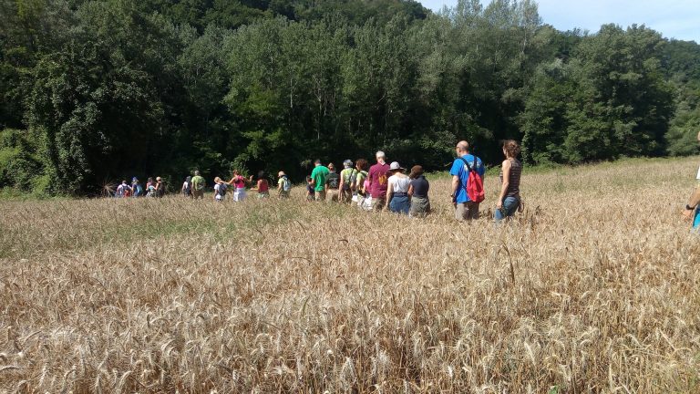 Prende avvio il progetto “Sabina Parco Slow”. La rete tra imprese sabine ottiene finanziamento di 100.000 euro dalla Regione Lazio