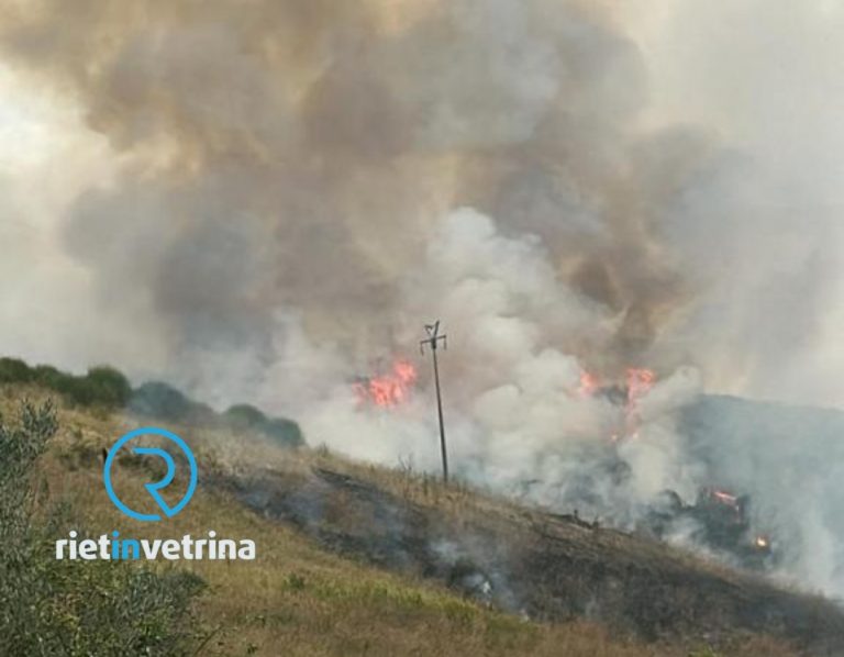 Incendio tra Poggio Moiano e Ginestra
