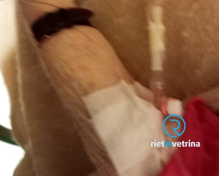 SEI TU IL REPORTER – “Al Pronto Soccorso di Rieti costretto a chiamare i Carabinieri e dopo ore a portare via mia madre”