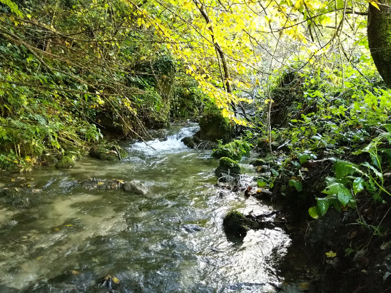 Impianto minielettrico Villanova, Salviamo l’Orso: “A rischio il tratto del torrente Pescara nel Comune di Accumoli”