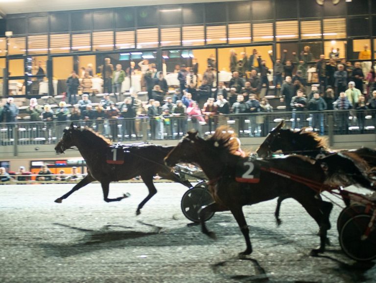 Il Palio dei Comuni 2023 la magia del trotto e della tradizione