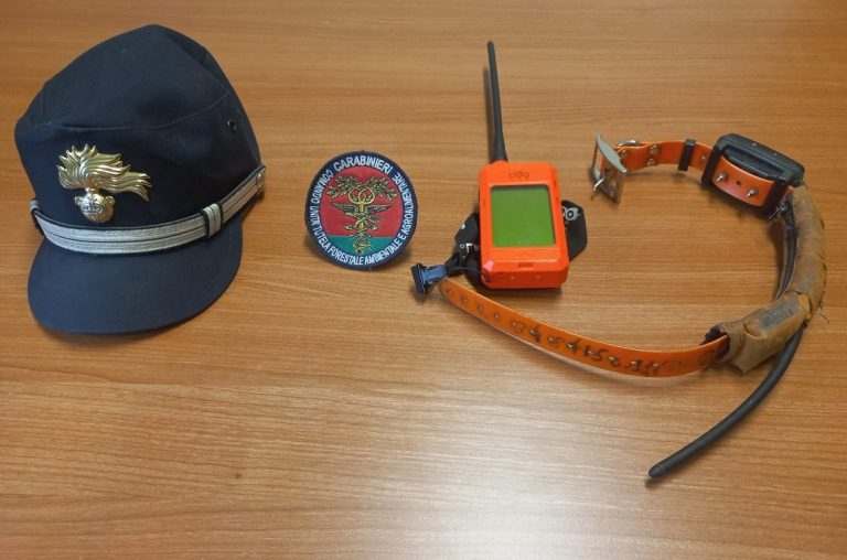 Usava collare elettrico per addestrare il cane, deferito alla procura dai Carabinieri Forestale di Rivodutri
