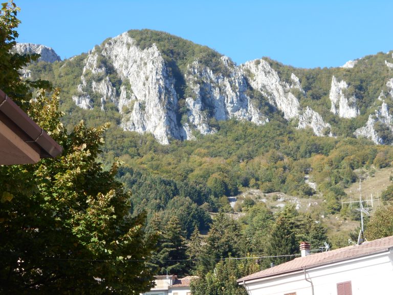 “Mostra Mercato” a San Lorenzo di Collalto Sabino