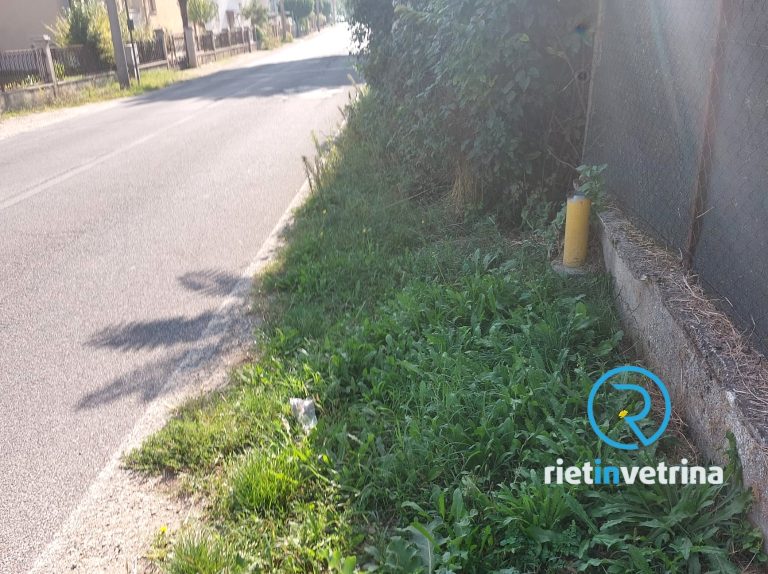 SEI TU IL REPORTER – “I privati dovrebbero curare le loro siepi. I marciapiedi sono invasi”