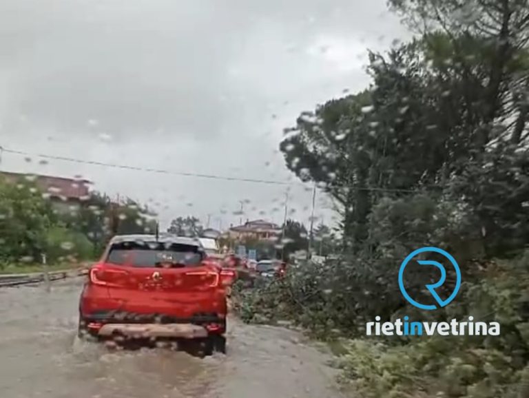 Alberi caduti sulla Salaria per Roma. Traffico a rilento
