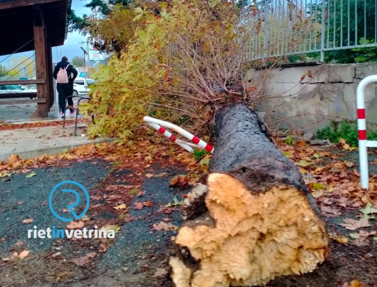 Maltempo, albero cade davanti all’Istituto Angelo Maria Ricci di Rieti