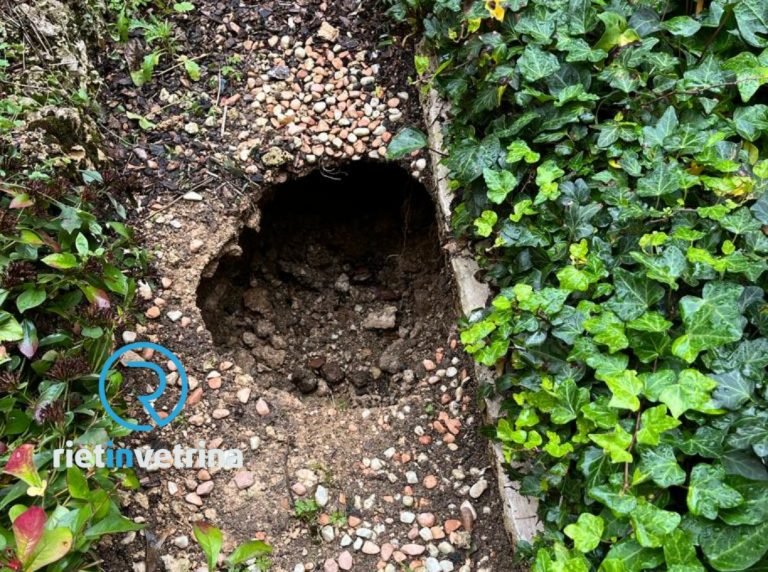 Maltempo, buche al cimitero di Rieti. Operai al lavoro