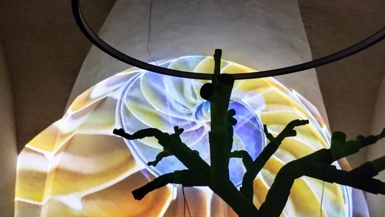 Rieti, il 10 ottobre nella Galleria le Stelle l’installazione “Del Passato il Futuro”