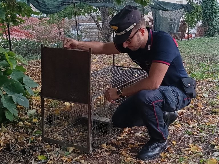 Denunciato dai Carabinieri Forestali per utilizzo gabbia di cattura animali vietata dalla Legge