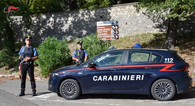 Arrestati due fratelli per furto aggravato, spaccio di droga e detenzione abusiva di armi