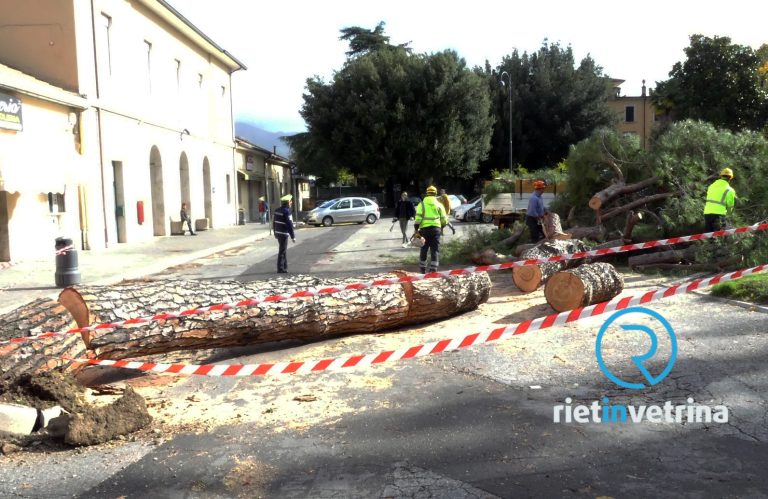 Caduto albero alla stazione di Rieti