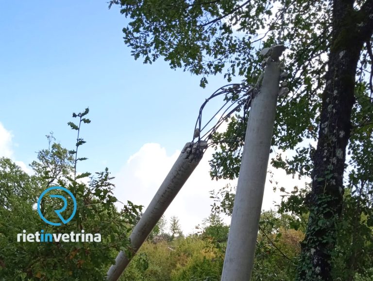 A Sant’Elia un albero spezza palo dell’energia elettrica