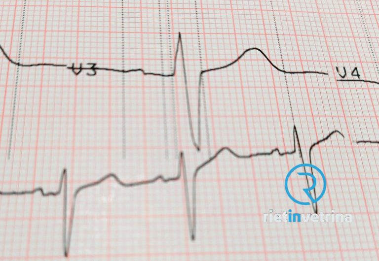 Il 5 ottobre Elettrocardiogrammi gratuiti alla Farmacia Giovannetti di Torricella in Sabina