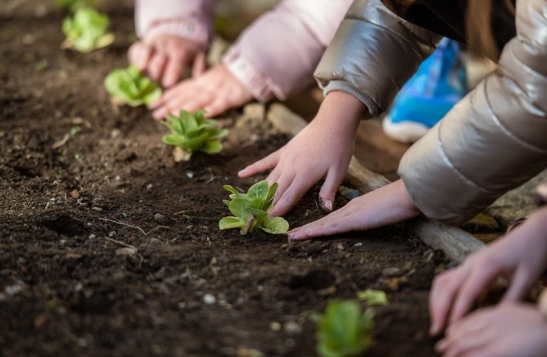 Festa degli orti, nel Lazio 2mila studenti a lezione di spreco alimentare con Slow Food