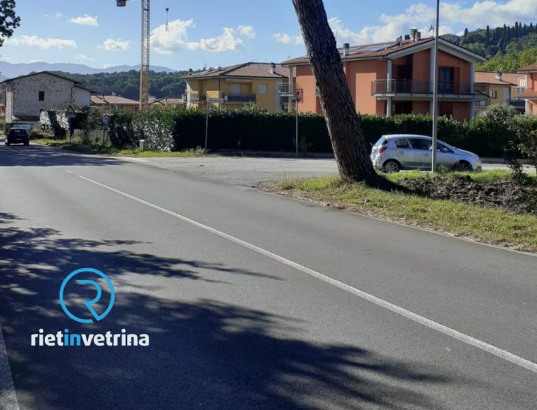 SEI TU IL REPORTER – “Sulla Terminillese ci sono due pini inclinati”