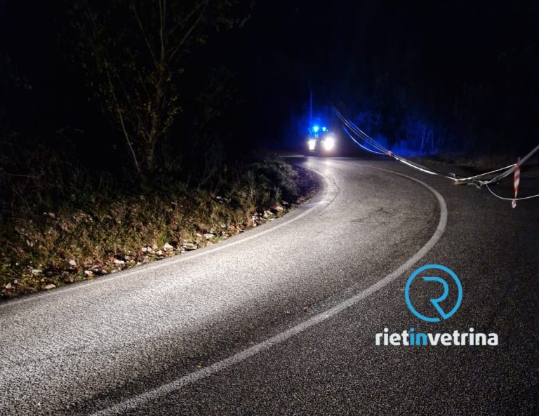 Auto esce di strada e abbatte palo del servizio telefonico