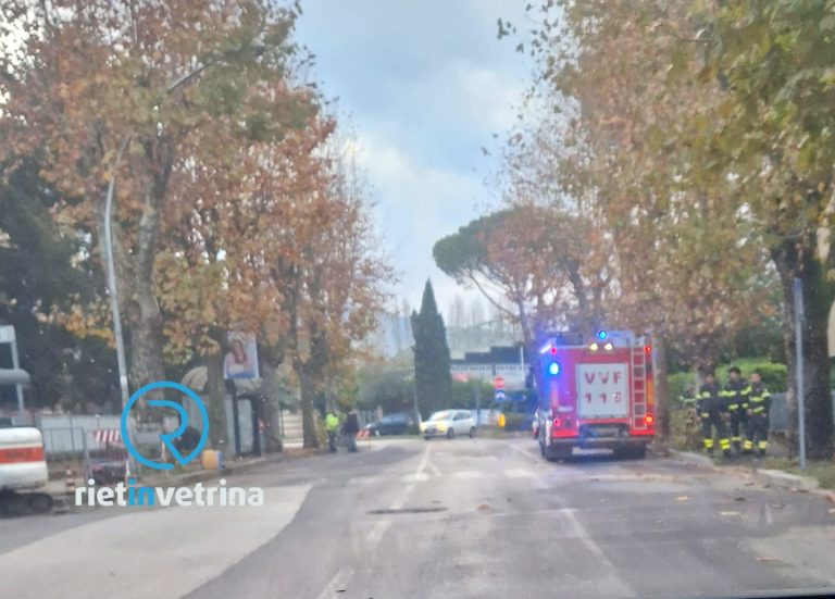 Albero pericolante in via Verani. Intervengono i Pompieri