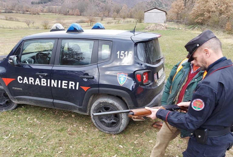 Caccia al cinghiale irregolare. In sette giorni elevati dieci verbali