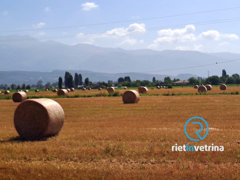 A Rieti giornata informativa dal titolo: “Opportunità di diversificazione in agriturismo”