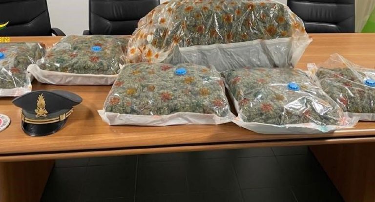 Vende canapa light con HHC, Guardia di Finanza sequestra tre chili di hashish e marijuana a negozio di Rieti