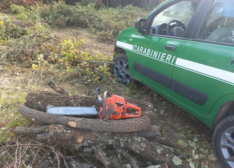 Poggio Bustone, denunciato dai Carabinieri Forestale per tentato furto, ricettazione di legname e resistenza a pubblico ufficiale
