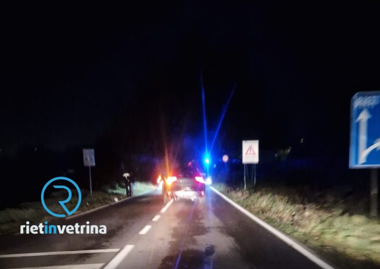 Incidente auto – cinghiale sulla Tancia bivio per Fonte Colombo. Traffico bloccato